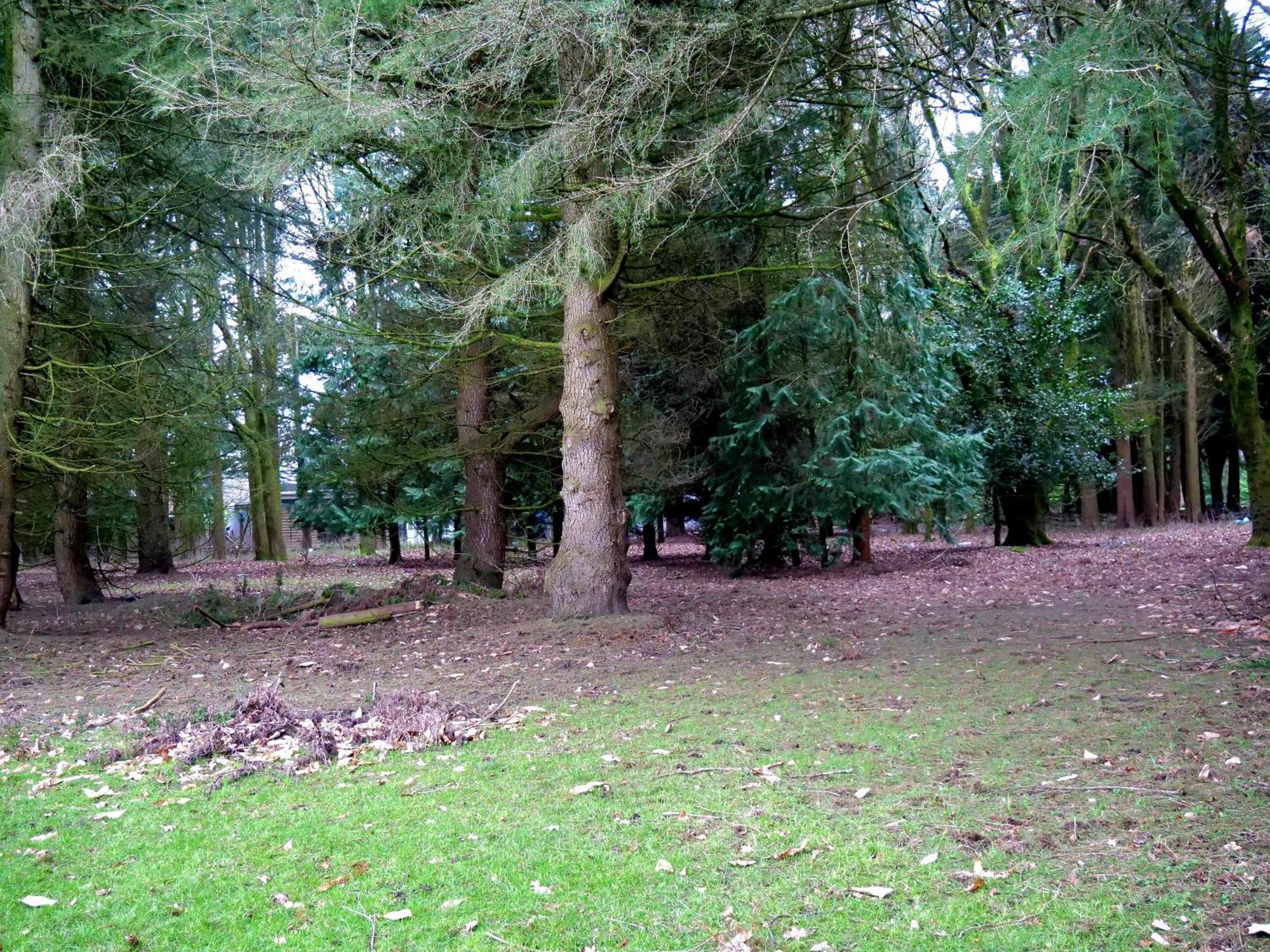 Beautiful Cottage In Brentwood Kelvedon Hatch Dış mekan fotoğraf